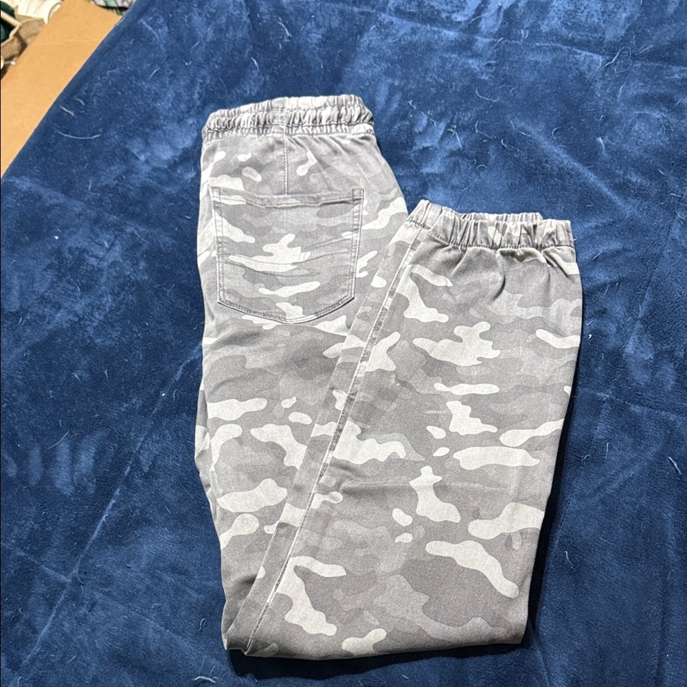 American Eagle Outfitters Gray Jogger Pants